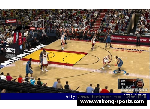 戈比:聚焦NBA球场之光 戈比:聚焦NBA球场之光