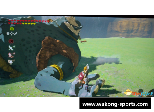 球员塞尔达:超越传奇的篮球之路 球员塞尔达:超越传奇的篮球之路