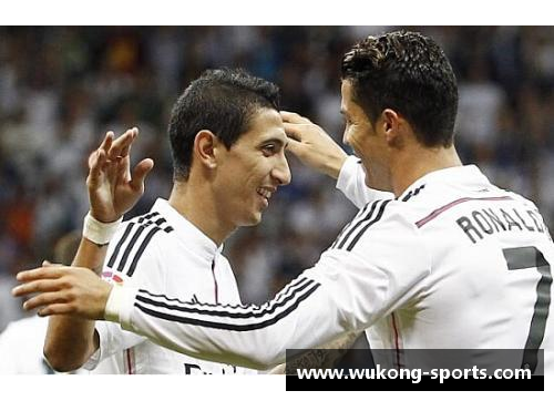 经典球员包:数据更新与巨星传奇 经典球员包:数据更新与巨星传奇