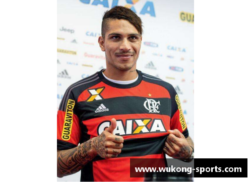 秘鲁足球明星盘点：梦幻阵容与辉煌回顾