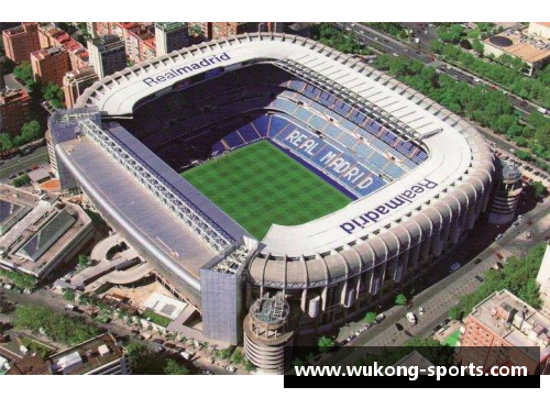 西班牙足坛传奇：球场辉煌与荣耀